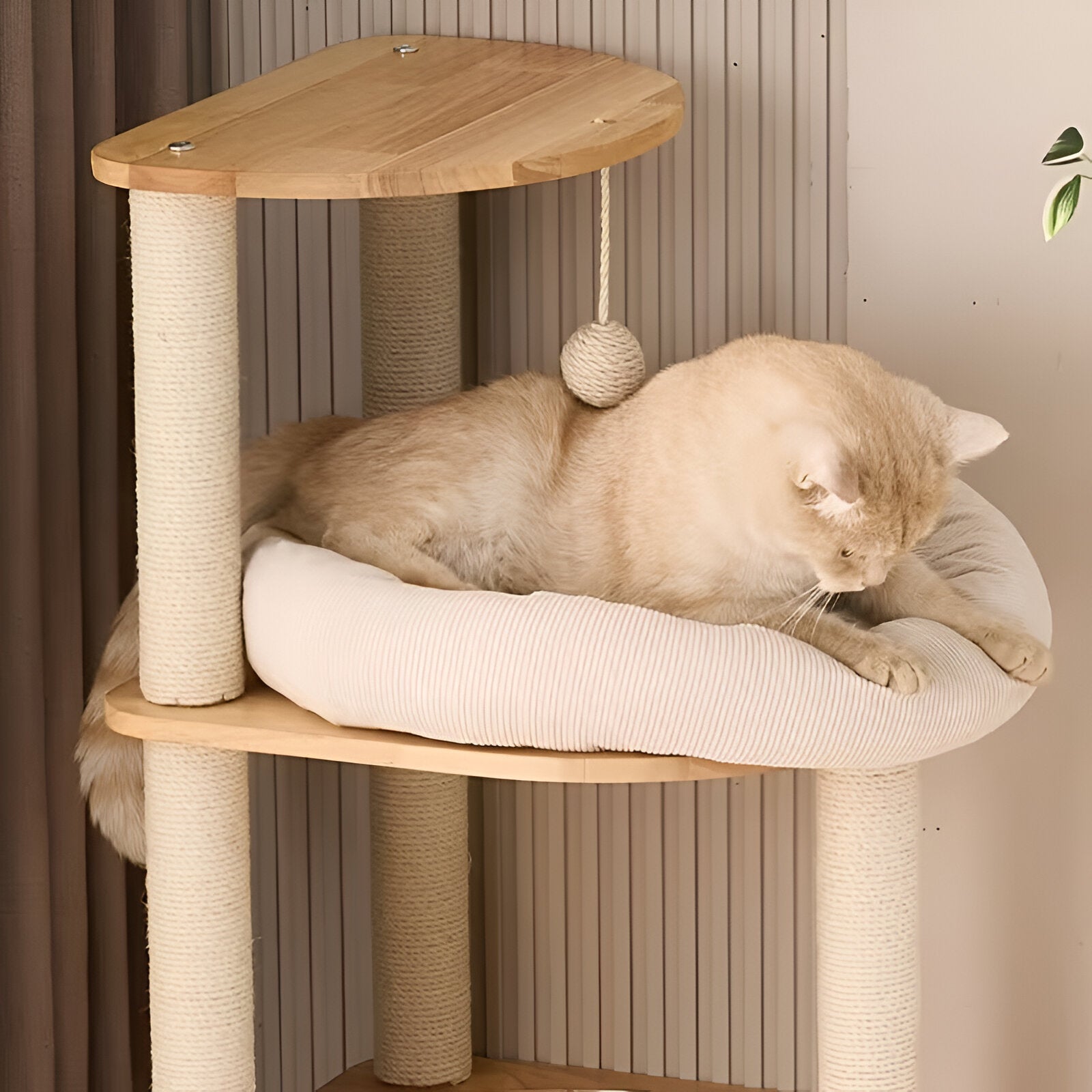 Arbre à Chat Équilibre Naturel