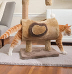 Griffoir câlin avec jouet suspendu