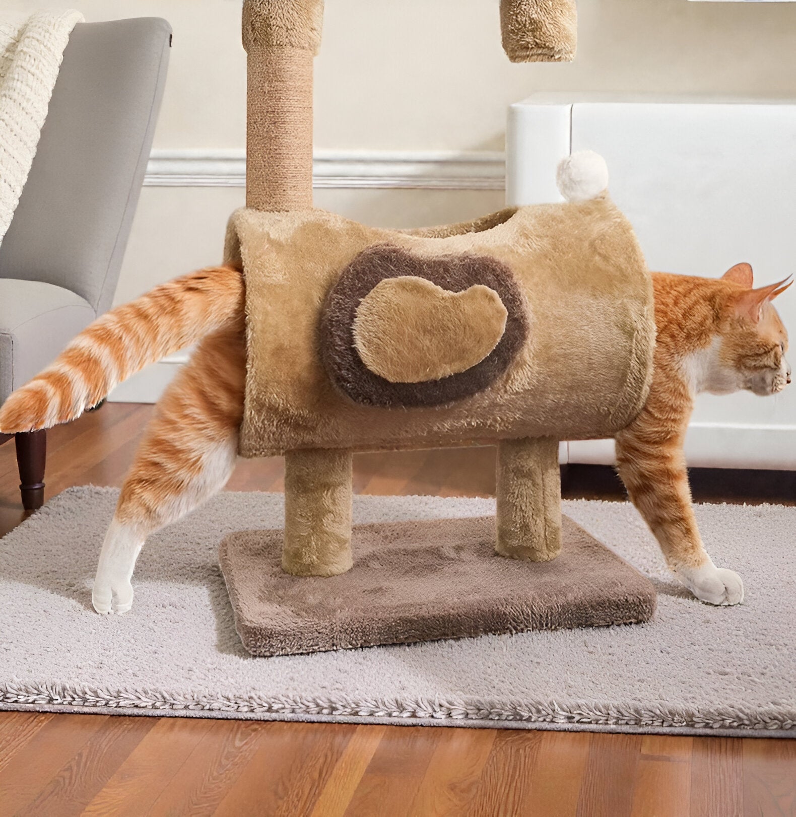 Griffoir câlin avec jouet suspendu