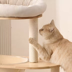 Arbre à Chat Équilibre Naturel