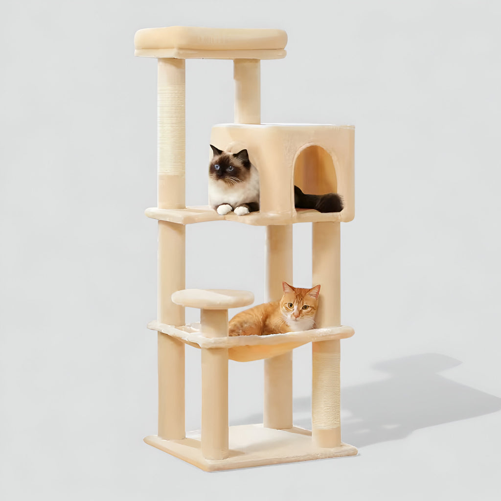 Arbre à Chat Multi-Couleurs Élégant