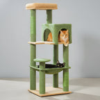 Arbre à Chat Multi-Couleurs Élégant