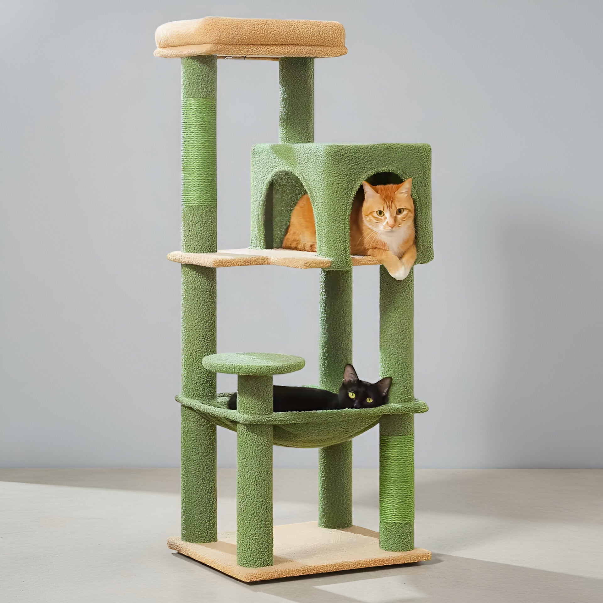 Arbre à Chat Multi-Couleurs Élégant