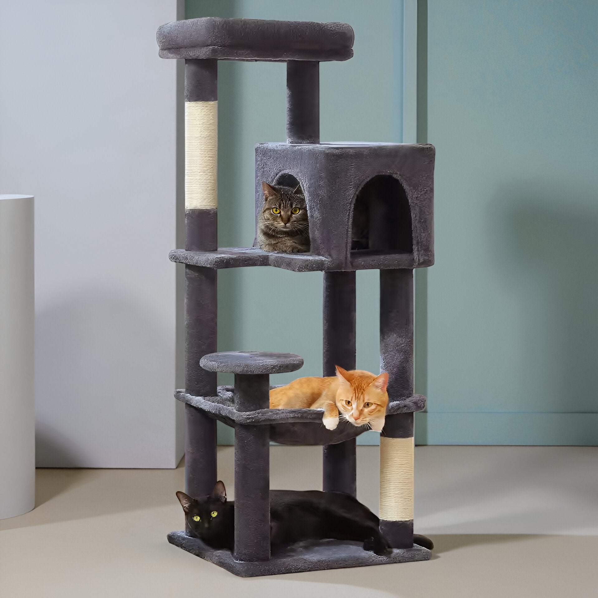 Arbre à Chat Multi-Couleurs Élégant