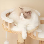 Arbre à Chat Design Naturel