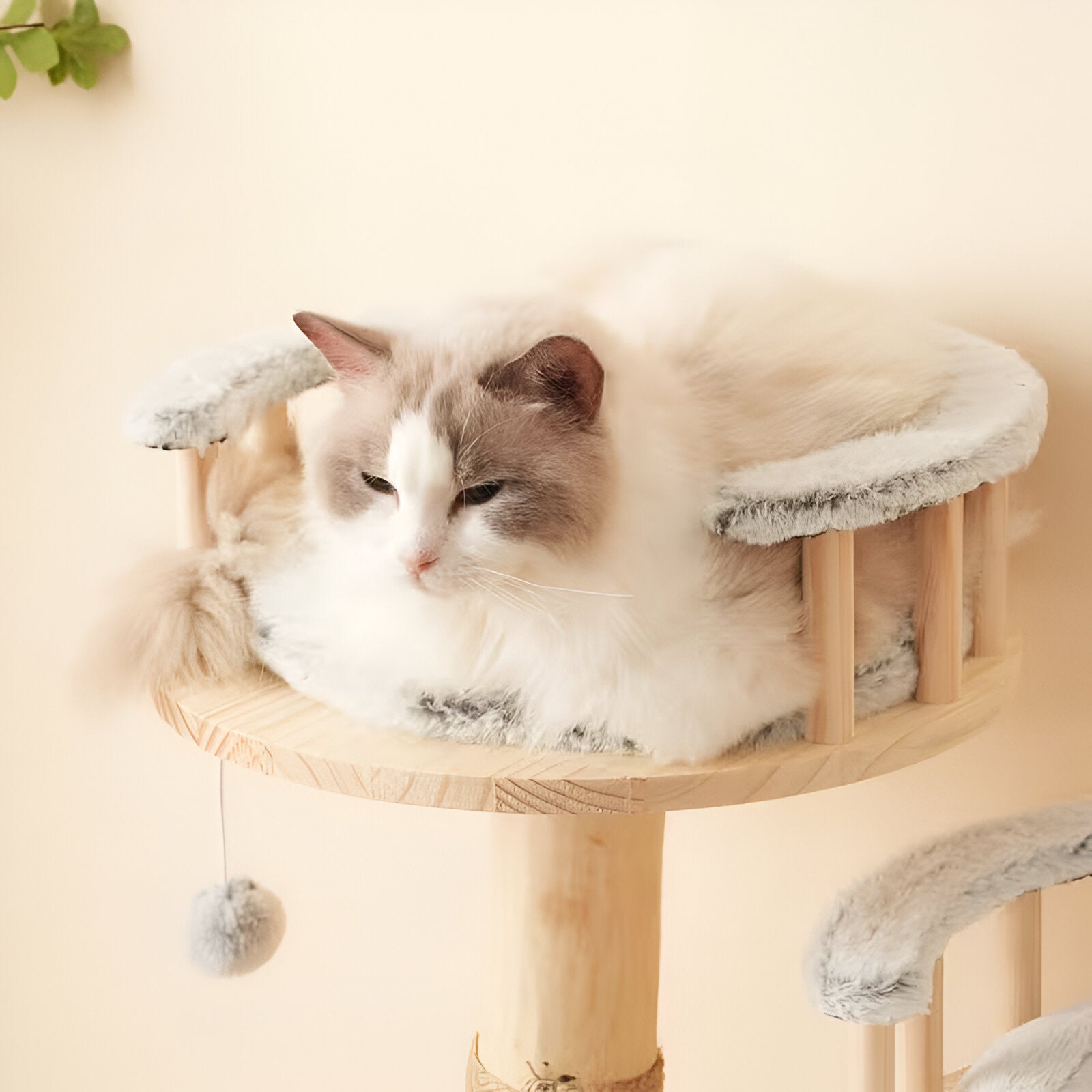 Arbre à Chat Design Naturel